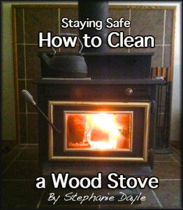 Wood burning stove