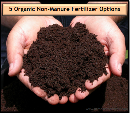 Organic fertilizer