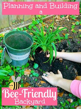 Bee friendly garden