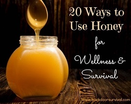 Use honey for survival