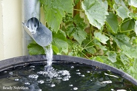 water catchment system