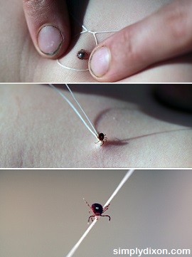 removing tick with string