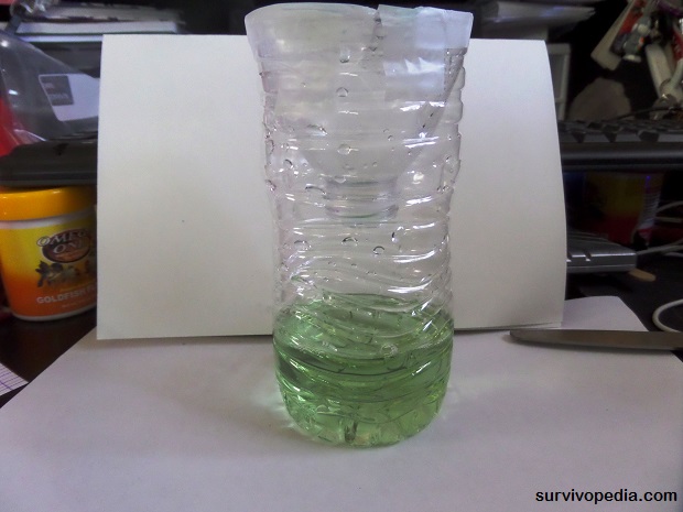 plastic bottle bug trap