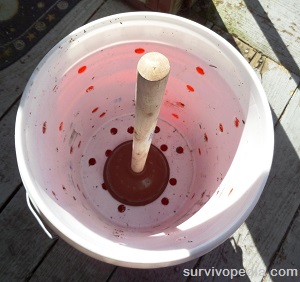 place the bucket with holes inside the bucket without holes