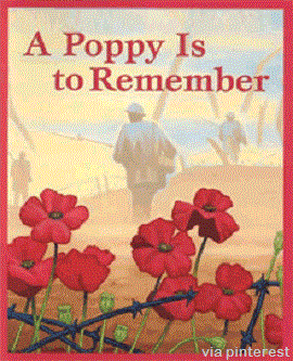 A poppy is to remmber