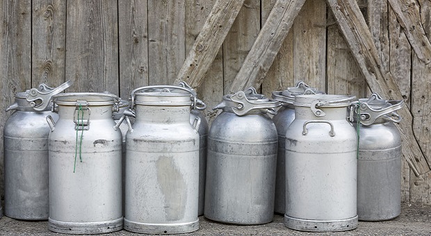 Canning milk