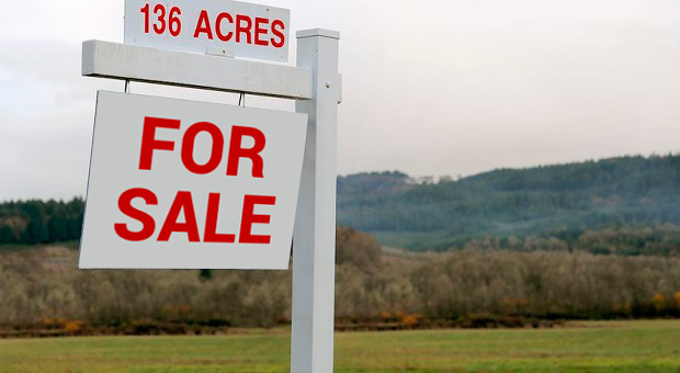 Buying land