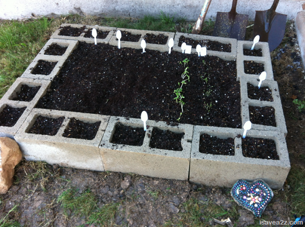 Cinder Block Raised Beds