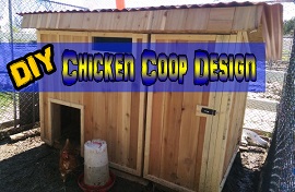 diy Chicken Coop