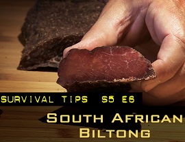 south african biltong