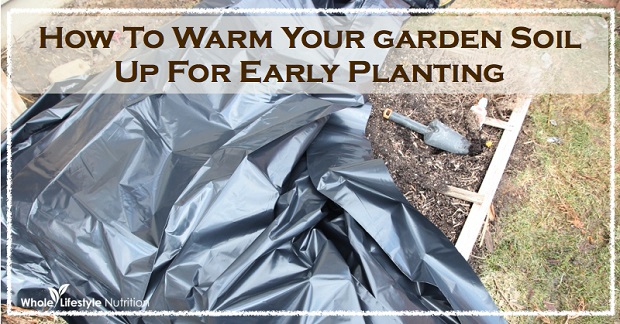 Warm Garden Soil