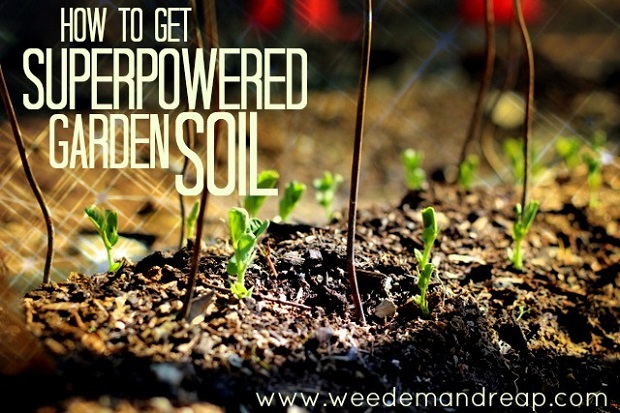 preparing garden soil