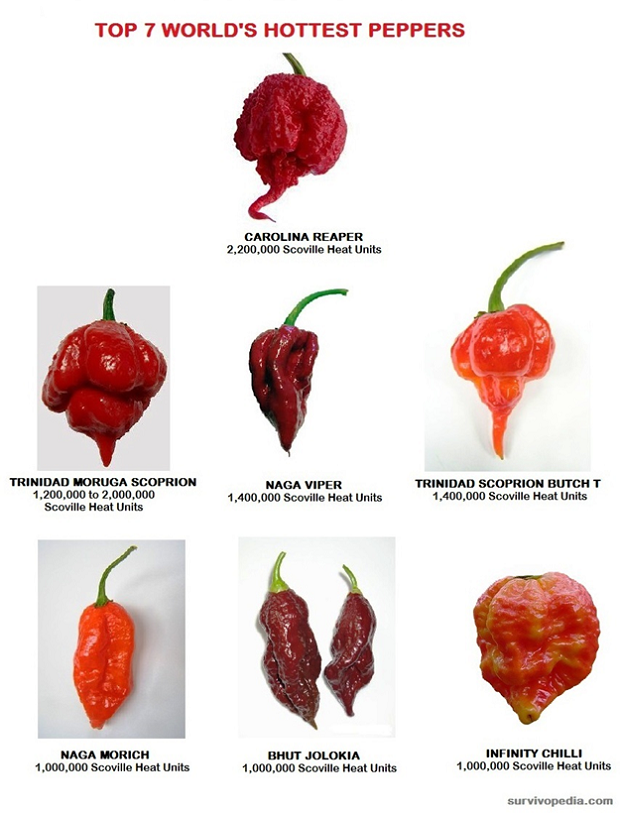 Hot Peppers Chart