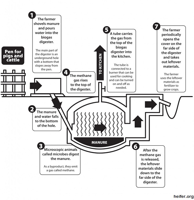 Bio Gas Generator