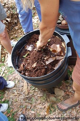 Worm compost bin