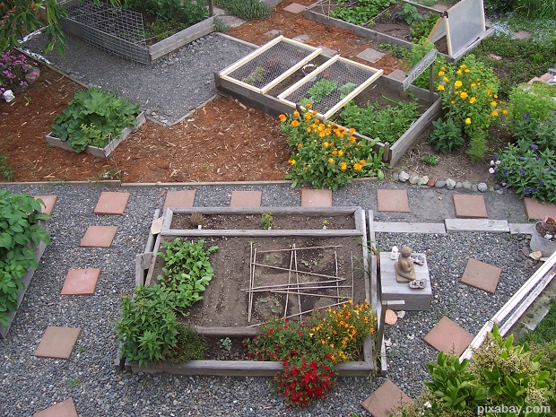 raised beds garden