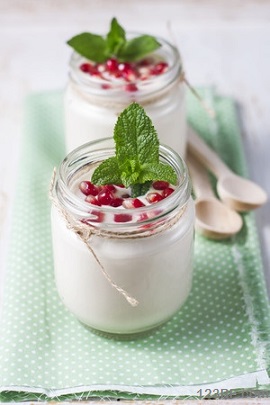 Coconut milk yogurt