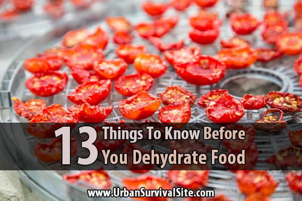 dehydrate food