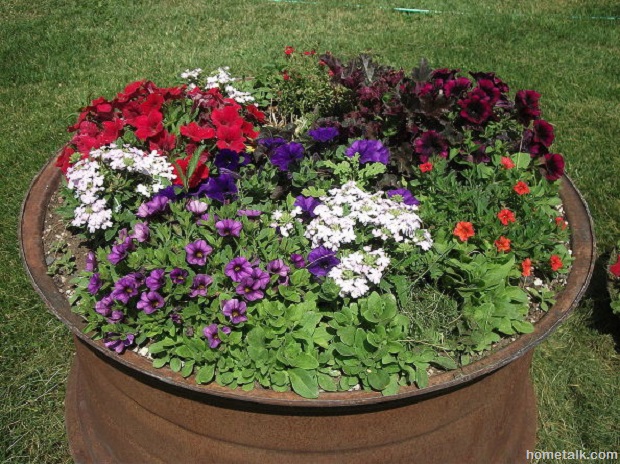 Tire Rim planter