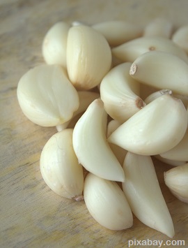 garlic 