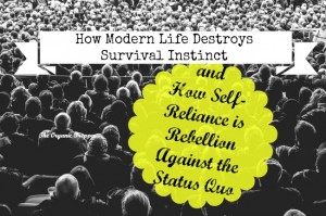 How-Modern-Life-Destroys-Survival-Instinct