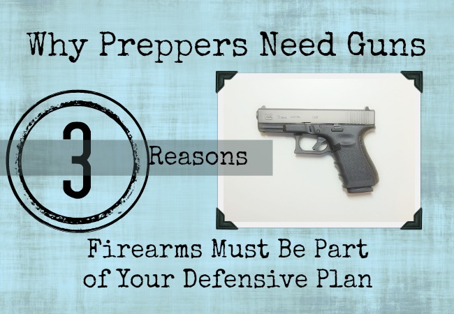 prepper guns