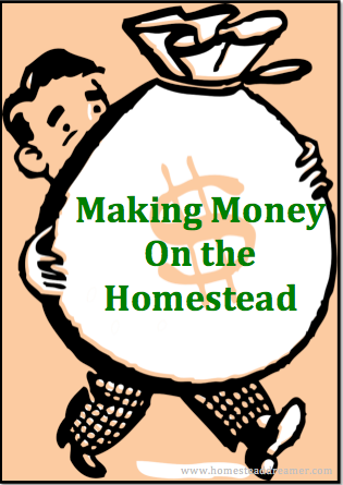 Homestead money