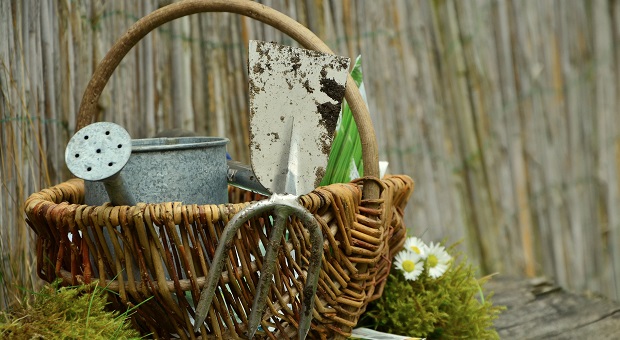 9 Ways for Gardening