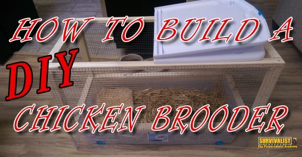 How-to-Make-a-Homemade-DIY-Chicken-Brooder-Cheap_1