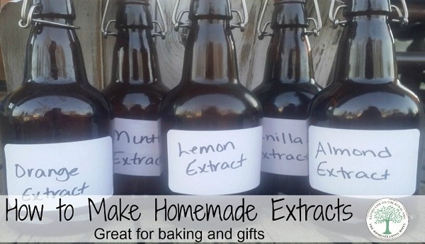 homemade-extracts-post