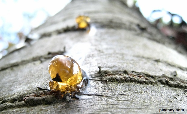 resin