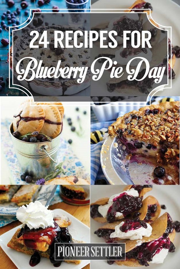 24-Recipes-for-Blueberry-Pie-Day