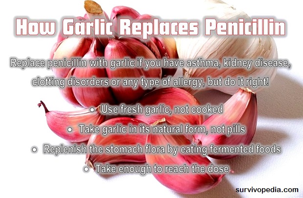 Survivopedia - How garlic replaces penicillin