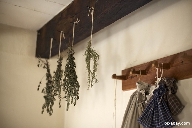 drying herbs