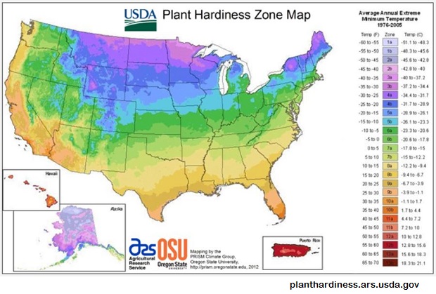 plant hardiness zone map - Copy