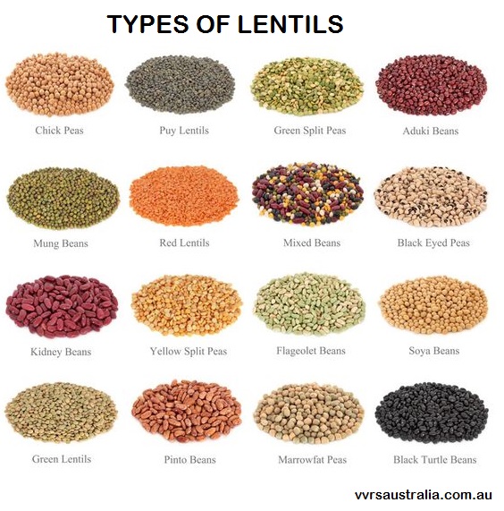 types of beans