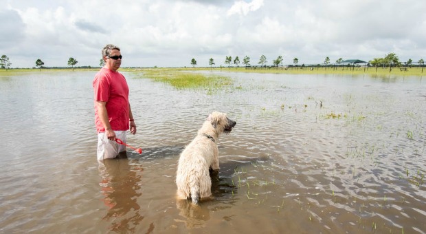 Danger After Floods