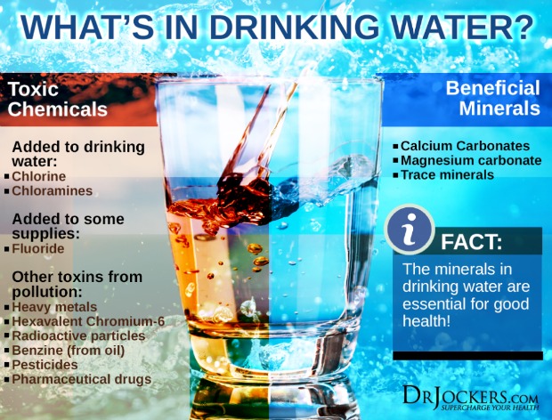 What's in your water