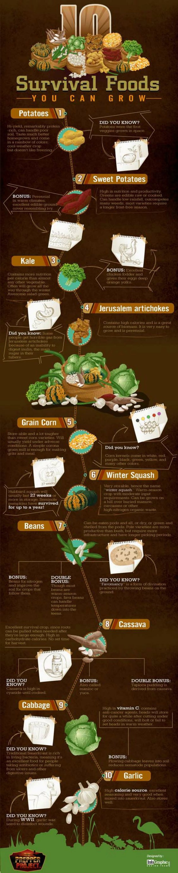 survival-foods-to-grow