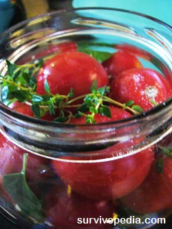 canned-tomatoes