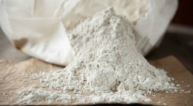 Diatomaceous Earth