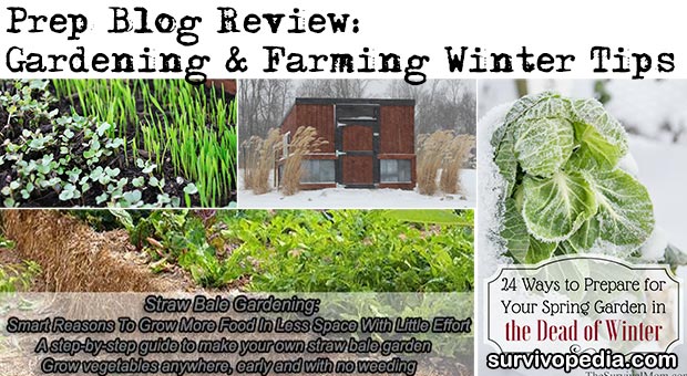 Winter Gardening