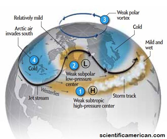 scientific-american