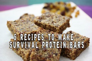 5-Recipes-to-make-your-own-survival-protein-bars