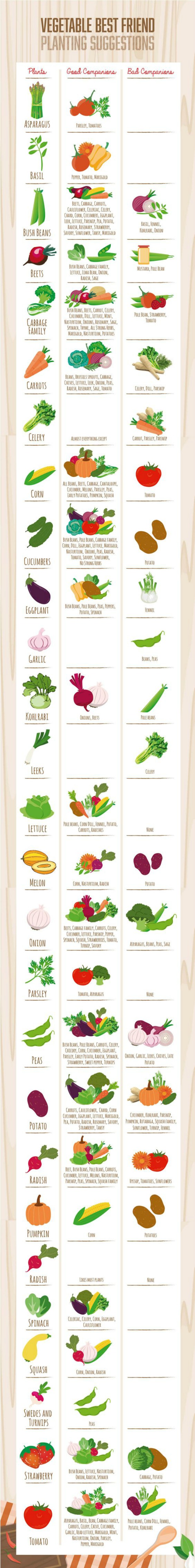 Companion planting 