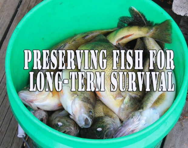 Preserving-fish-for-long-term-survival
