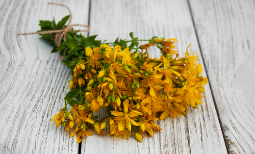 Fall Medicinal Wild Flowers