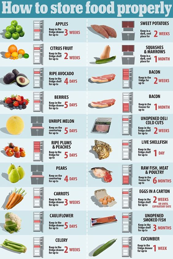 How To Store Your Food For The Long Term - Survivopedia