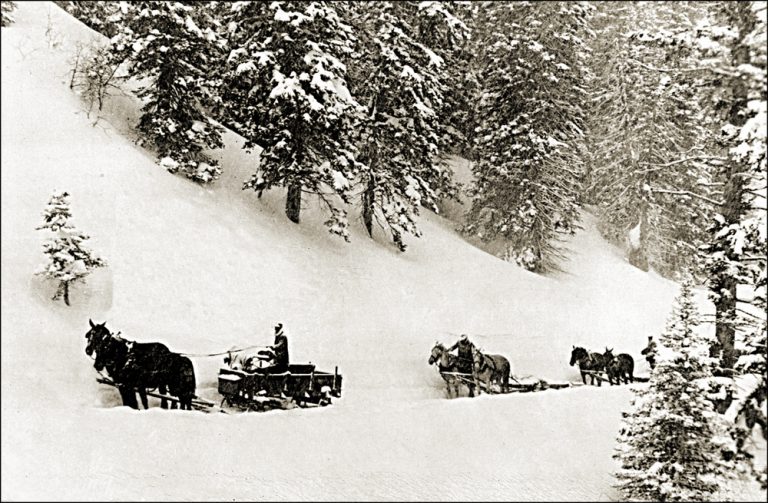 Top 10 Vehicles For Your EMP Survival Survivopedia