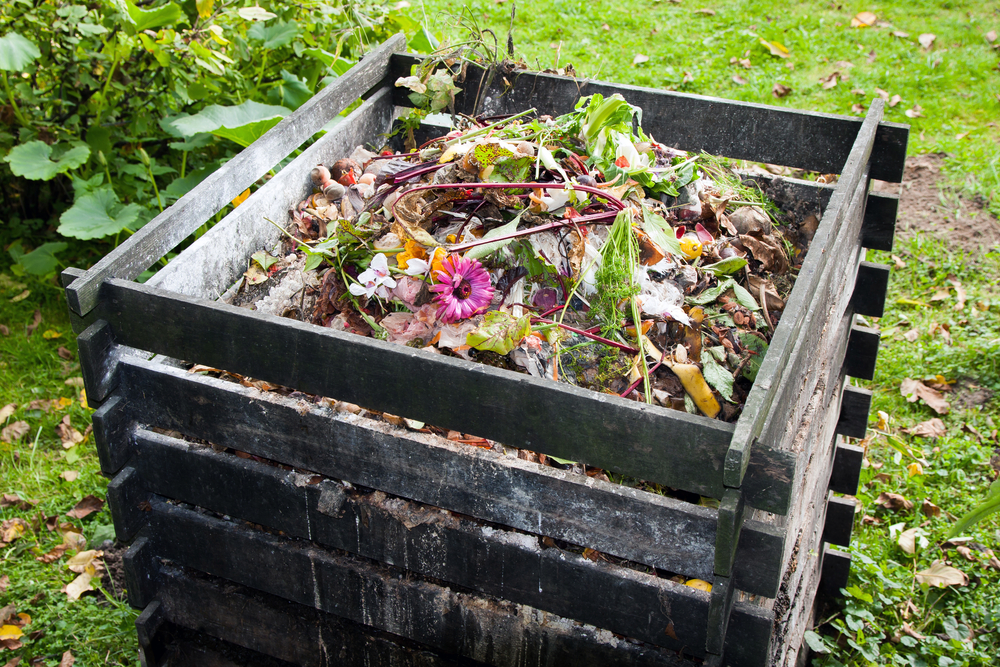 9 Composting Mistakes – All that Stands Between You and Black Gold – Survivopedia